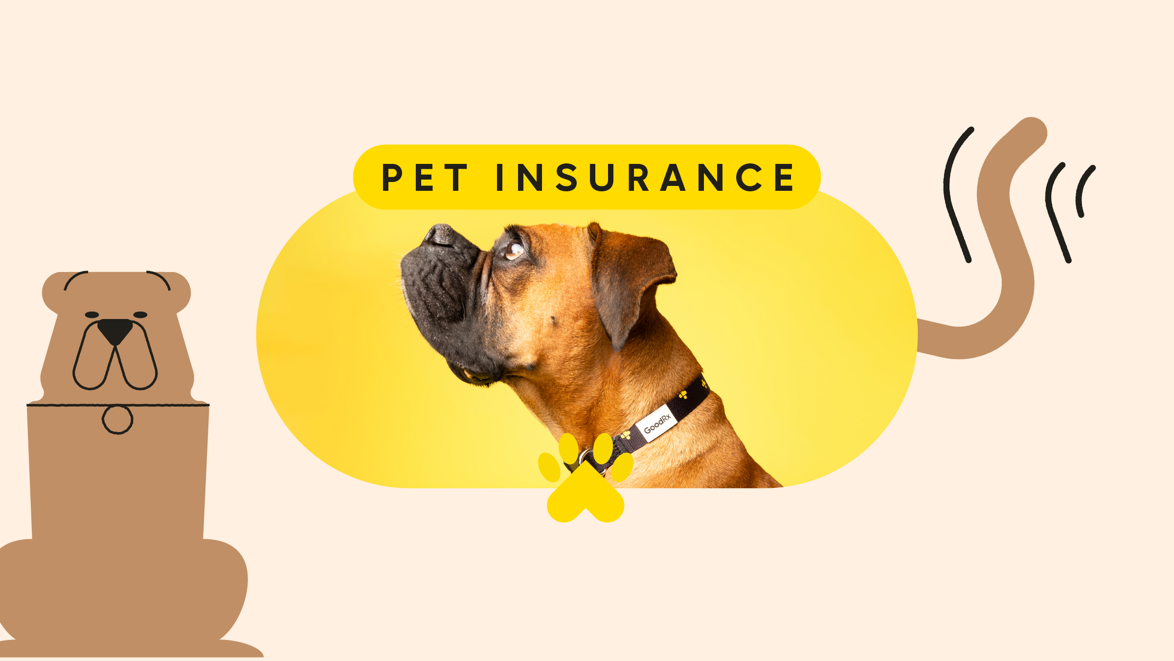 pet care insurance pet featured image